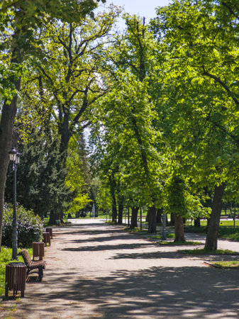 Amazing Spring Landscape of Borisova gradina (Boris Garden) in city of Sofia, Bulgariaの写真素材