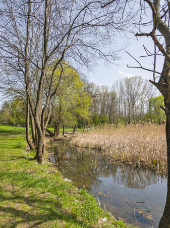 Amazing Spring Landscape in city of Sofia, Bulgariaの写真素材