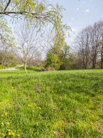 Amazing Spring Landscape in city of Sofia, Bulgariaの写真素材