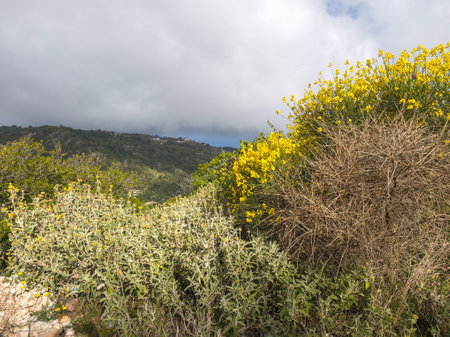 Amazing Spring view of Mountain of Lefkada, Ionian Islands, Greeceの写真素材