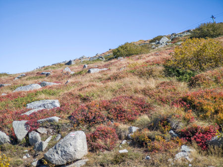 Amazing Autumn panorama of Vitosha Mountain near Cherni Vrah peak, Bulgariaの写真素材