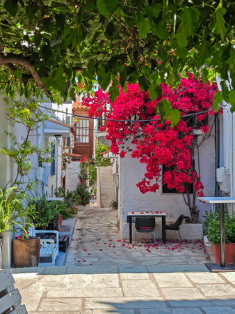 Amazing view of The Old town of Skiathos, Sporades, Thessaly, Greece