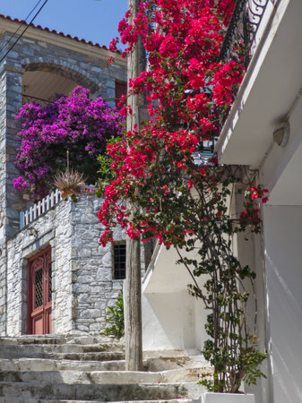 Amazing view of The Old town of Skiathos, Sporades, Thessaly, Greeceの写真素材