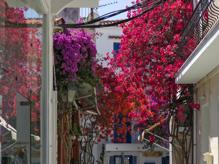 Amazing view of The Old town of Skiathos, Sporades, Thessaly, Greece