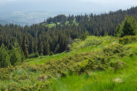 Amazing Spring Panorama of Vitosha Mountain, Bulgariaの写真素材