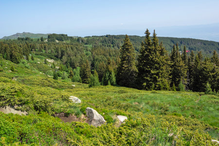 Amazing Spring Panorama of Vitosha Mountain, Bulgariaの写真素材