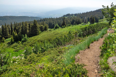 Amazing Spring Panorama of Vitosha Mountain, Bulgariaの写真素材