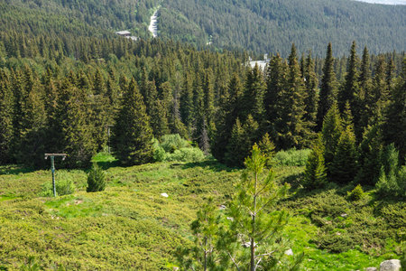 Amazing Spring Panorama of Vitosha Mountain, Bulgaria