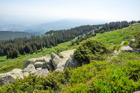 Amazing Spring Panorama of Vitosha Mountain, Bulgariaの写真素材