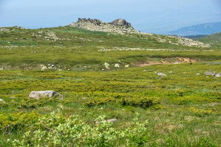 Amazing Spring Landscape of Vitosha Mountain, Bulgariaの写真素材