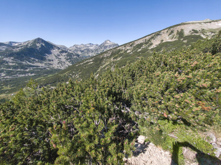 Amazing Summer landscape of Pirin Mountain near Popovo Lake, Bulgariaの写真素材
