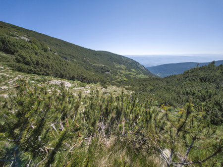 Amazing Summer landscape of Pirin Mountain near Popovo Lake, Bulgariaの写真素材