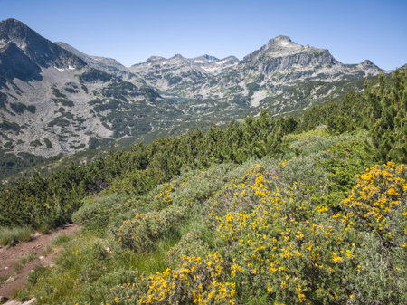 Amazing Summer landscape of Pirin Mountain near Popovo Lake, Bulgariaの写真素材