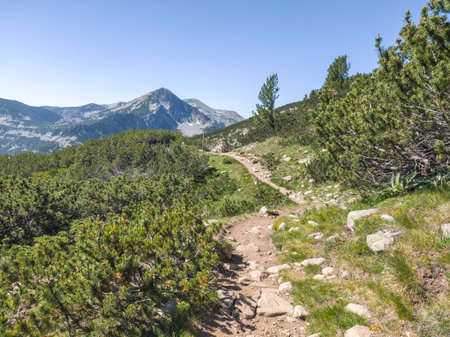 Amazing Summer landscape of Pirin Mountain near Popovo Lake, Bulgariaの写真素材