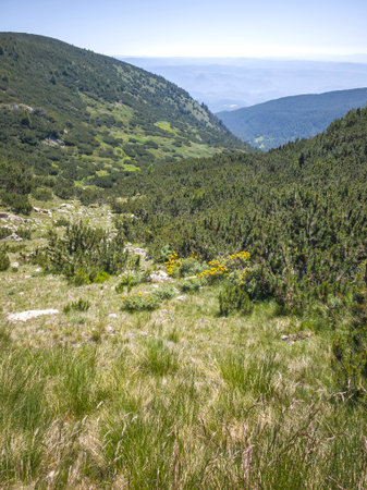 Amazing Summer landscape of Pirin Mountain near Popovo Lake, Bulgariaの写真素材