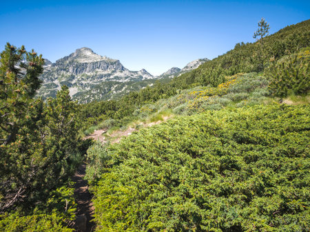 Amazing Summer landscape of Pirin Mountain near Popovo Lake, Bulgariaの写真素材