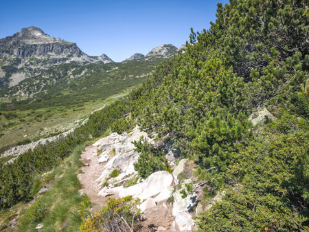 Amazing Summer landscape of Pirin Mountain near Popovo Lake, Bulgariaの写真素材