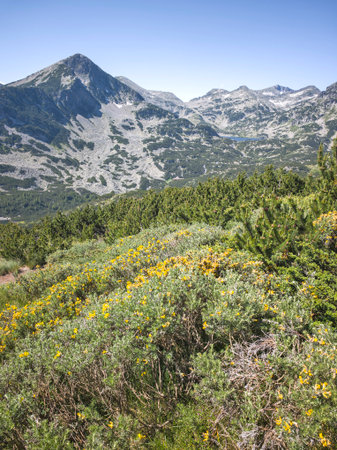 Amazing Summer landscape of Pirin Mountain near Popovo Lake, Bulgariaの写真素材