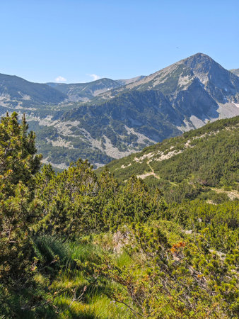 Amazing Summer landscape of Pirin Mountain near Popovo Lake, Bulgariaの写真素材