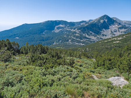 Amazing Summer landscape of Pirin Mountain near Popovo Lake, Bulgariaの写真素材