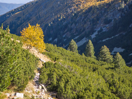Amazing Autumn Landscape of Rila Mountain near Malyovitsa peak, Bulgariaの写真素材