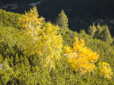 Amazing Autumn Landscape of Rila Mountain near Malyovitsa peak, Bulgariaの写真素材