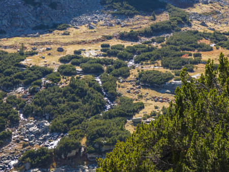 Amazing Autumn Landscape of Rila Mountain near Malyovitsa peak, Bulgariaの写真素材