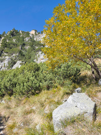 Amazing Autumn Landscape of Rila Mountain near Malyovitsa peak, Bulgariaの写真素材