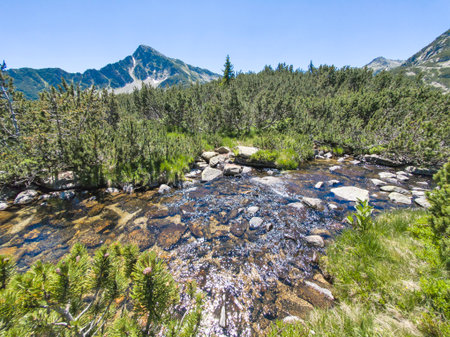 Amazing Summer Landscape of Pirin Mountain near Banski Lakes, Bulgariaの写真素材