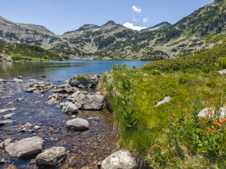 Amazing Summer Landscape of Popovo Lake at Pirin Mountain, Bulgariaの写真素材