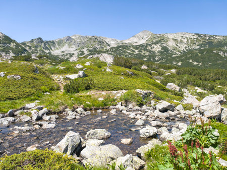 Amazing Summer Landscape of Popovo Lake at Pirin Mountain, Bulgariaの写真素材