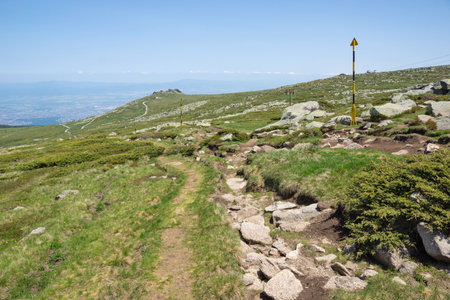Spring Landscape of Vitosha Mountain near Cherni Vrah, Bulgariaの写真素材