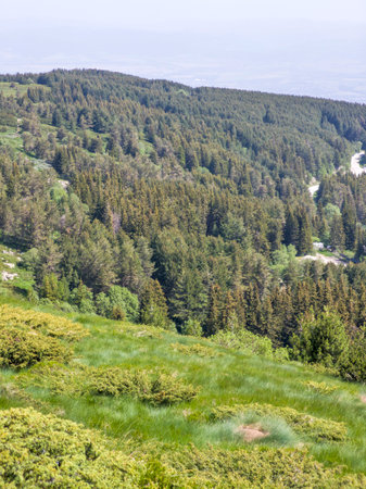 Amazing Spring Panorama of Vitosha Mountain, Bulgariaの写真素材