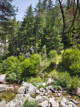 Summer view of Rila Mountain near Beli Iskar River, Sofia Region, Bulgariaの写真素材