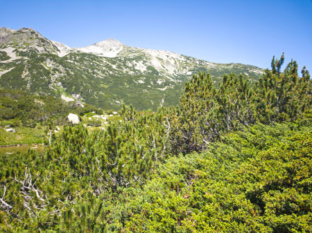 Amazing Summer landscape of Pirin Mountain near Popovo Lake, Bulgariaの写真素材