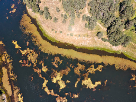 Aerial Summer view of Beglika Reservoir, Pazardzhik Region, Bulgaria