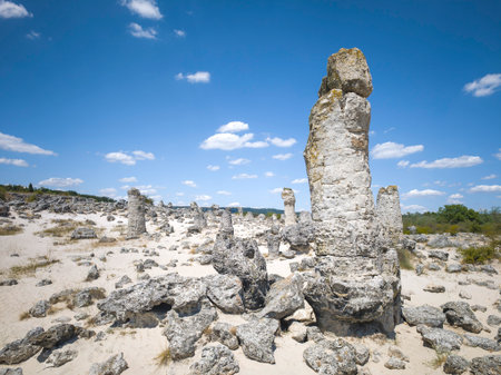 Summer view of rock formation Pobiti Kamani (Upright Stones), Varna region, Bulgariaの写真素材