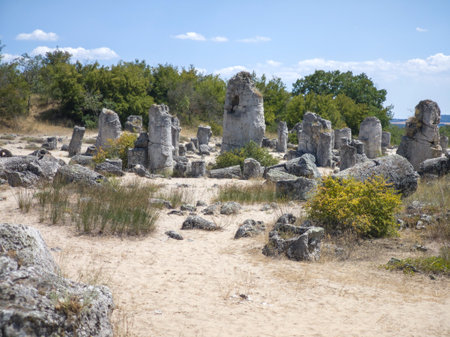 Summer view of rock formation Pobiti Kamani (Upright Stones), Varna region, Bulgariaの写真素材