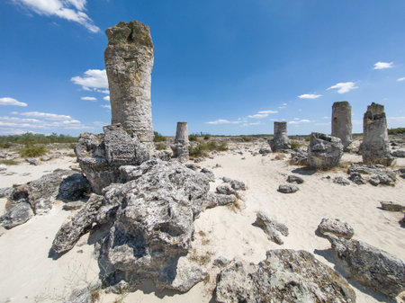 Summer view of rock formation Pobiti Kamani (Upright Stones), Varna region, Bulgariaの写真素材