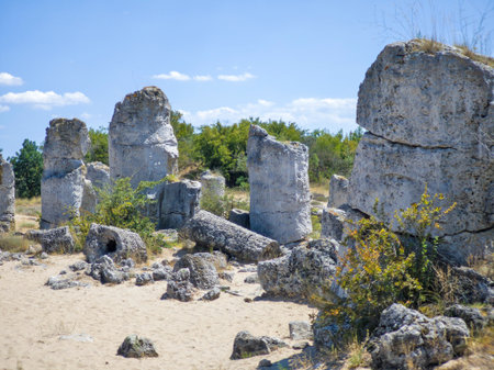 Summer view of rock formation Pobiti Kamani (Upright Stones), Varna region, Bulgariaの写真素材