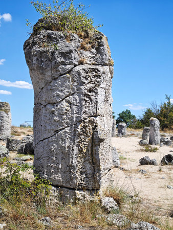 Summer view of rock formation Pobiti Kamani (Upright Stones), Varna region, Bulgaria