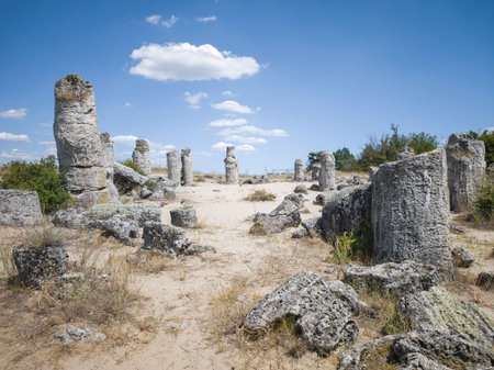 Summer view of rock formation Pobiti Kamani (Upright Stones), Varna region, Bulgariaの写真素材