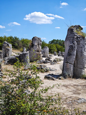 Summer view of rock formation Pobiti Kamani (Upright Stones), Varna region, Bulgariaの写真素材
