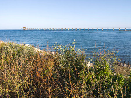 Summer view of Black sea coast near Shabla cape, Dobrich Region, Bulgaria