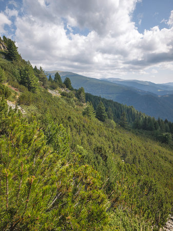 Amazing Summer Landscape of Rila mountain near Granchar Lake, Bulgariaの写真素材