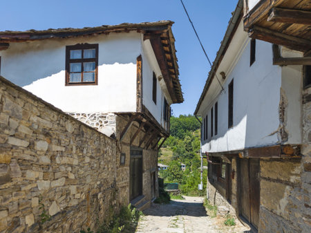 Summer view of Village of Dolen with Authentic nineteenth century houses, Blagoevgrad Region, Bulgariaの写真素材