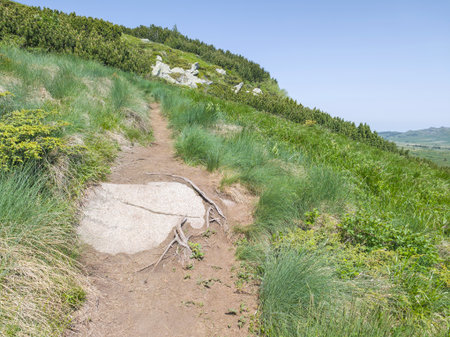 Amazing Spring Panorama of Vitosha Mountain, Bulgaria