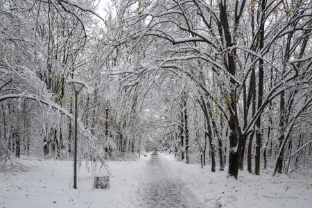 Amazing Winter Panorama in city of Sofia, Bulgaria