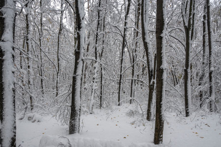 Amazing Winter Panorama in city of Sofia, Bulgaria