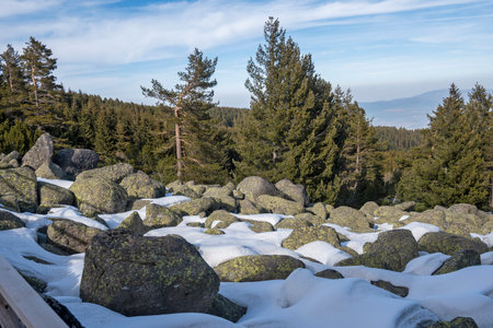 Winter landscape of Vitosha Mountain, Sofia City Region, Bulgariaの写真素材